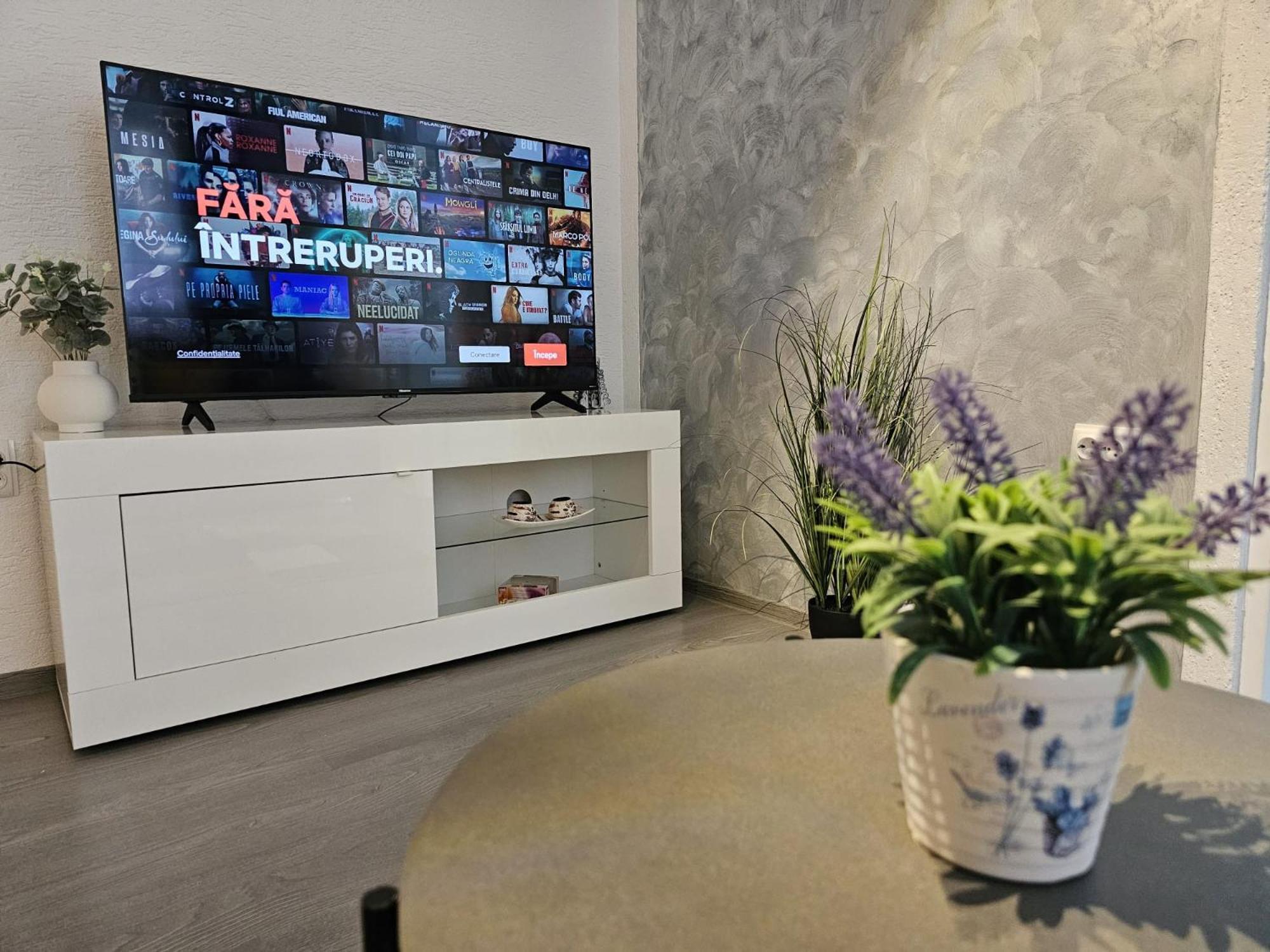 Mona Central Apartment Хунедоара Екстер'єр фото
