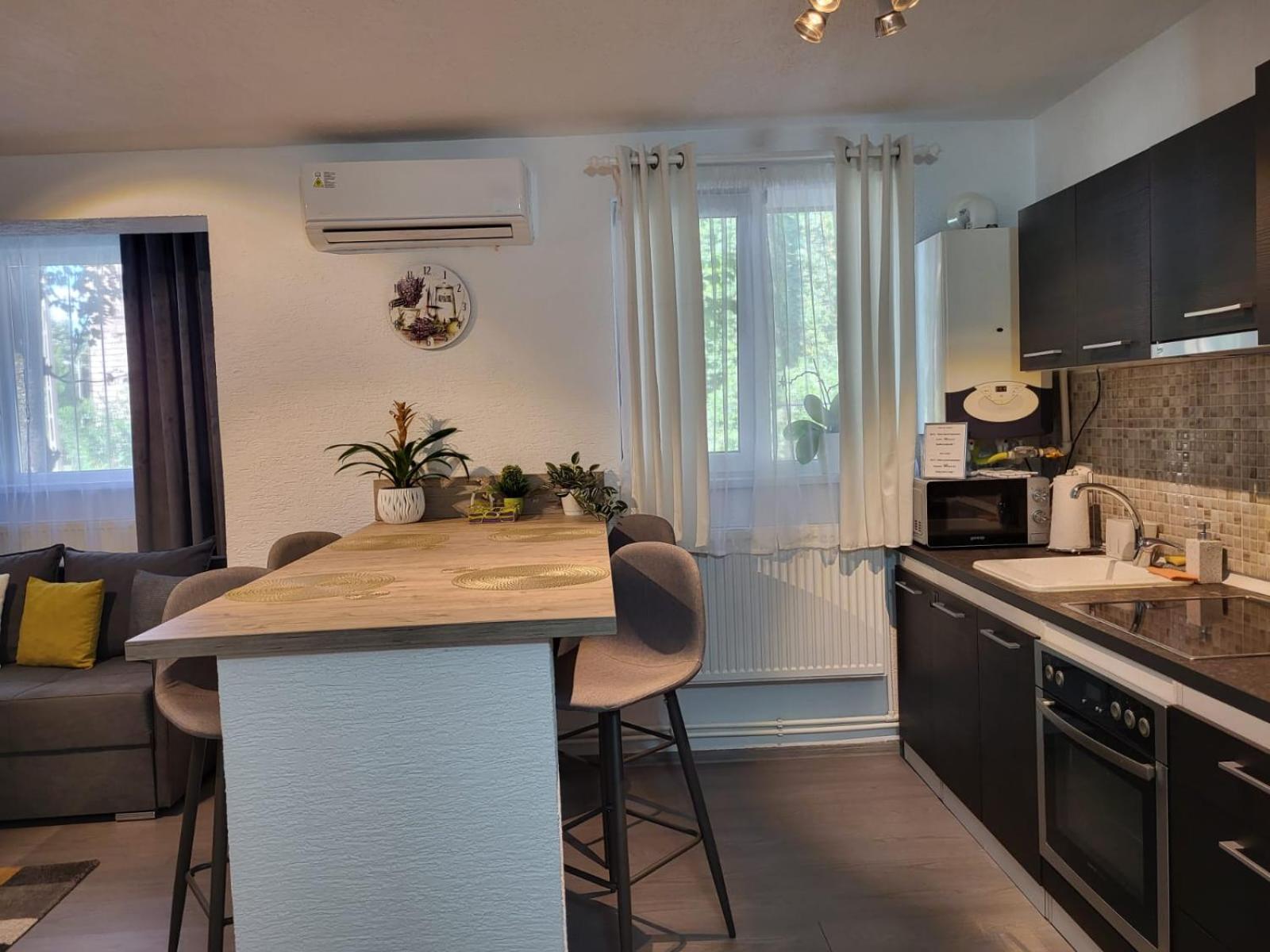 Mona Central Apartment Хунедоара Екстер'єр фото