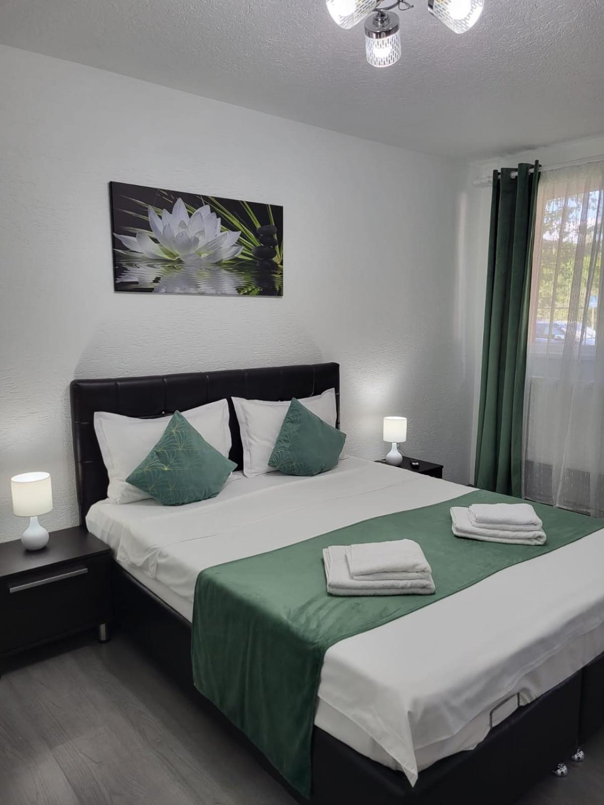 Mona Central Apartment Хунедоара Екстер'єр фото