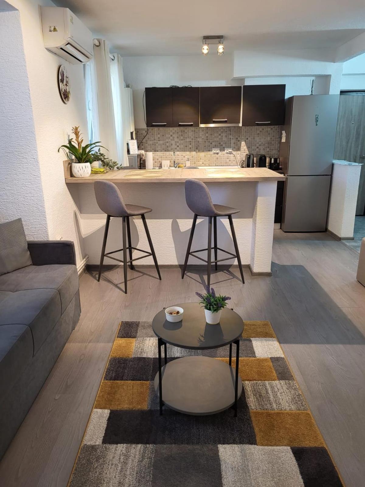 Mona Central Apartment Хунедоара Екстер'єр фото