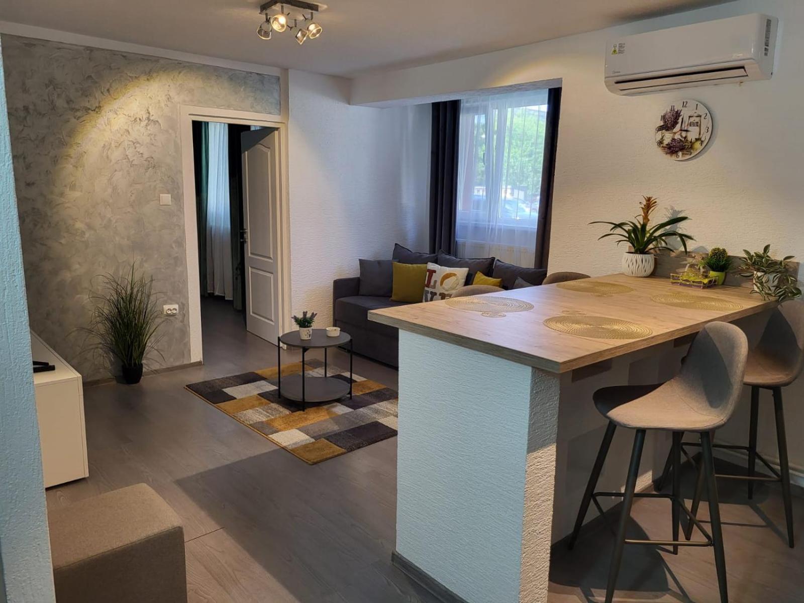 Mona Central Apartment Хунедоара Екстер'єр фото